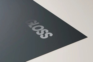 Gloss